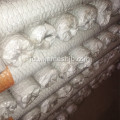 Electro Galvanized Hexagonal Wire Nettings